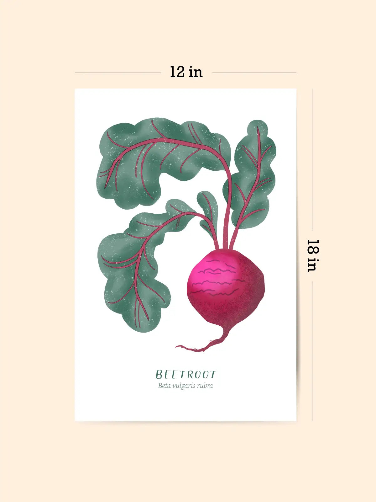Beetroot Risograph Art Print (12x18")